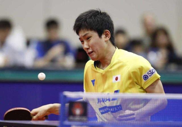 宴必不容错 宴必不容错