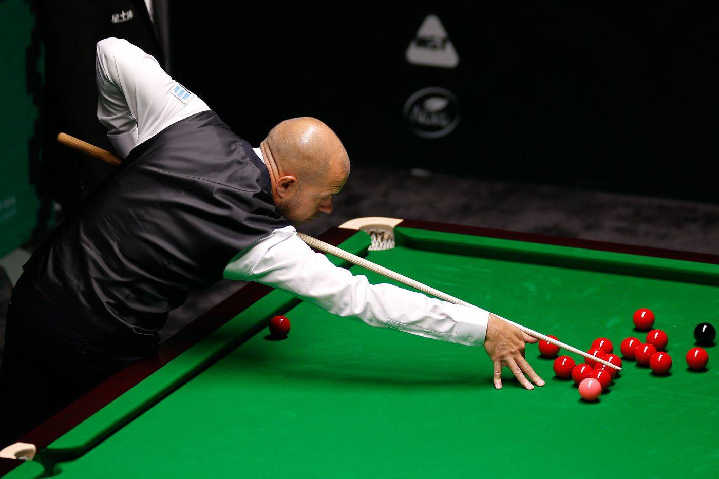 都是篮球迷 都是篮球迷